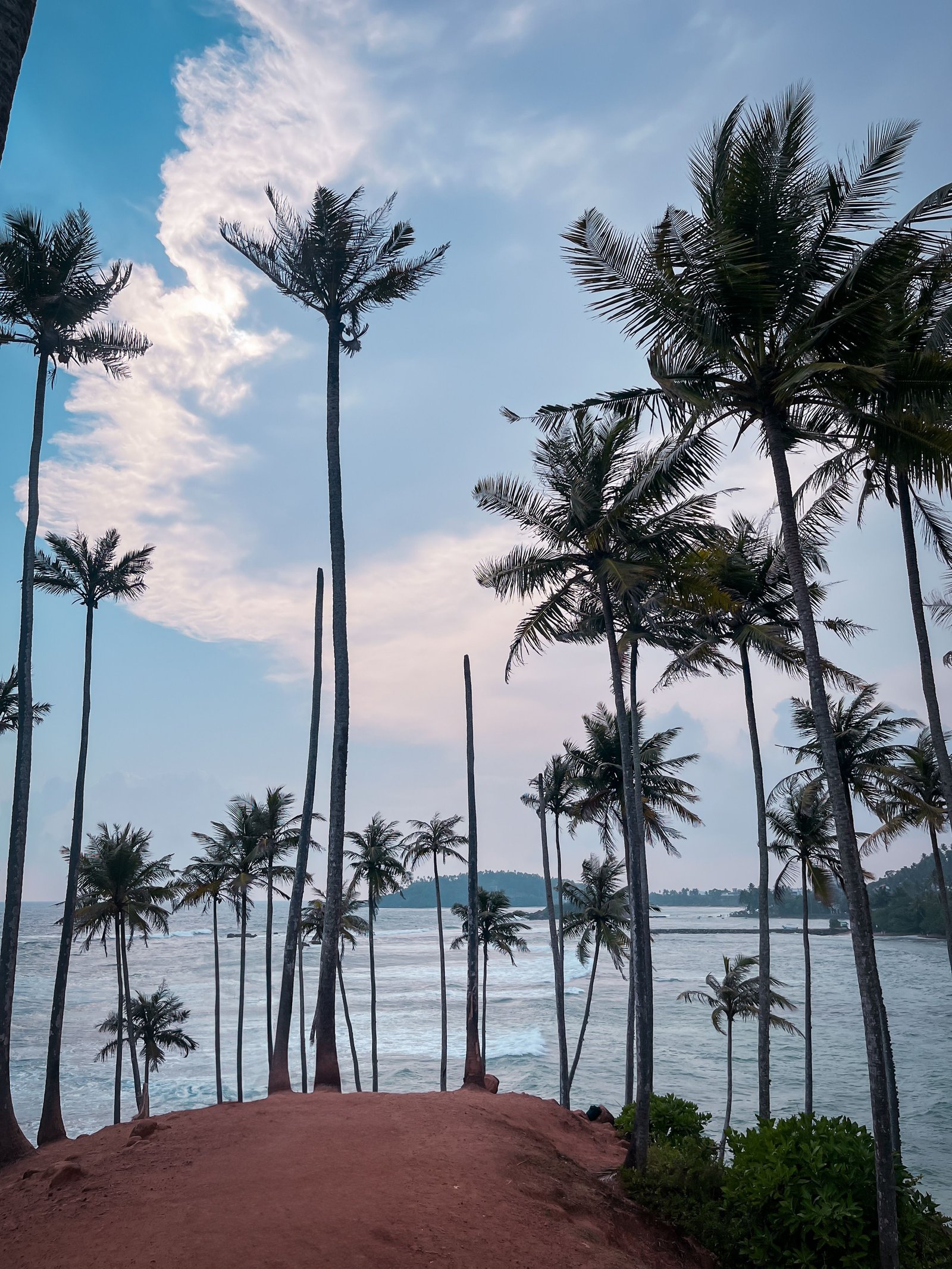 Mirissa: Whales, Surf & Beach Life photo 1